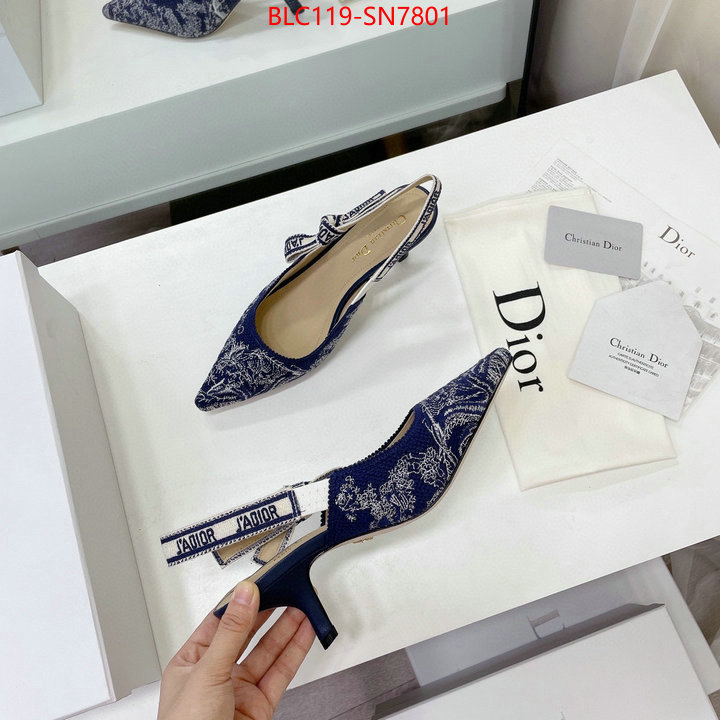 Women Shoes-Dior,what 1:1 replica , ID: SN7801,$: 119USD