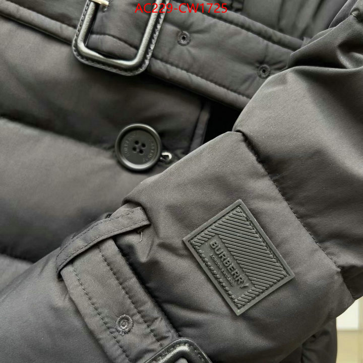 Down jacket Women-Burberry,how to start selling replica , ID: CW1725,$: 229USD