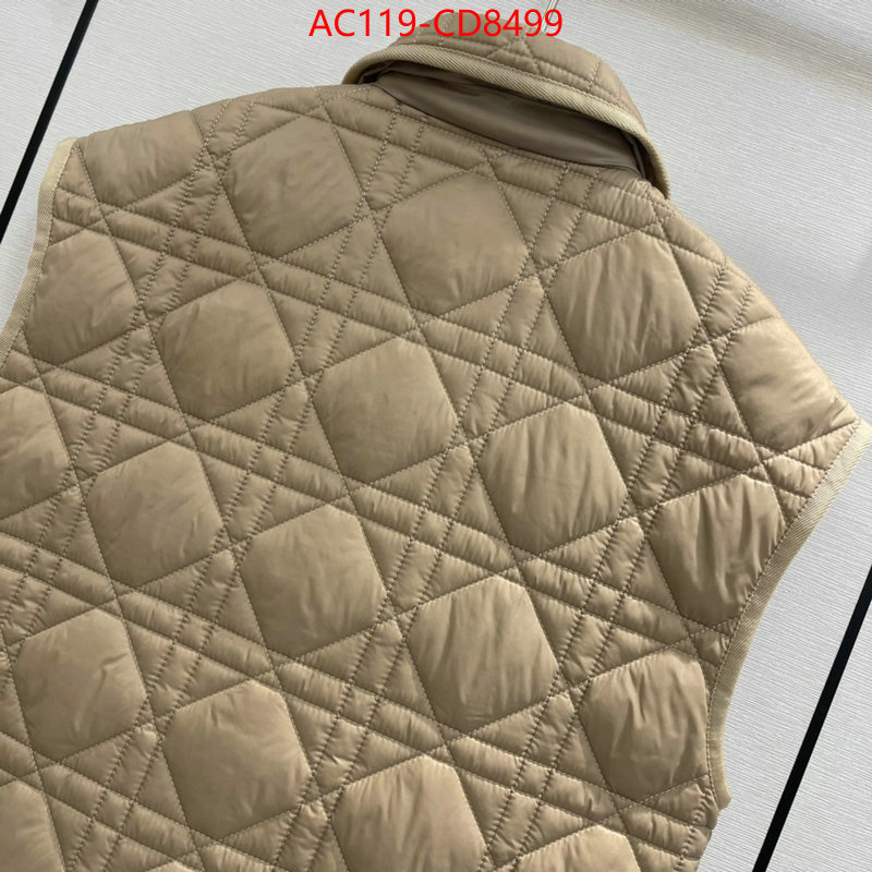 Down jacket Women-Dior,china sale , ID: CD8499,$: 119USD