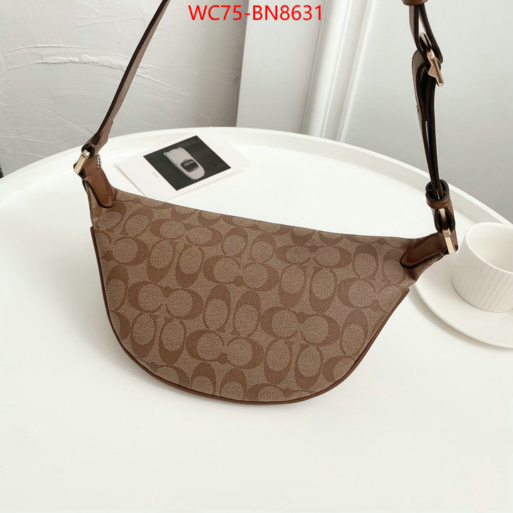 Coach Bags(4A)-Belt Bag-Chest Bag--,can i buy replica ,ID: BN8631,$: 75USD