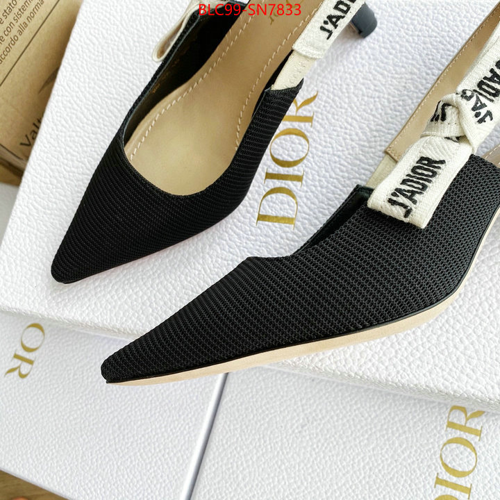 Women Shoes-Dior,replica 2023 perfect luxury , ID: SN7833,$: 99USD