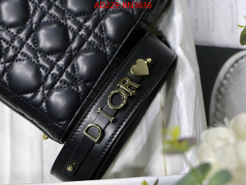 Dior Bags(TOP)-Lady-,ID: BN3636,$: 229USD