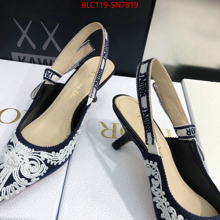 Women Shoes-Dior,replica aaaaa designer , ID: SN7819,$: 119USD