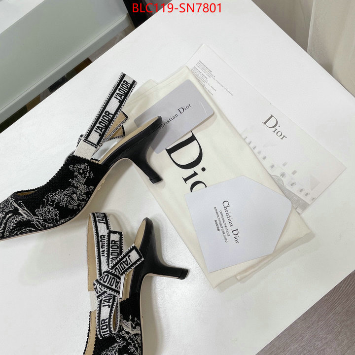 Women Shoes-Dior,what 1:1 replica , ID: SN7801,$: 119USD