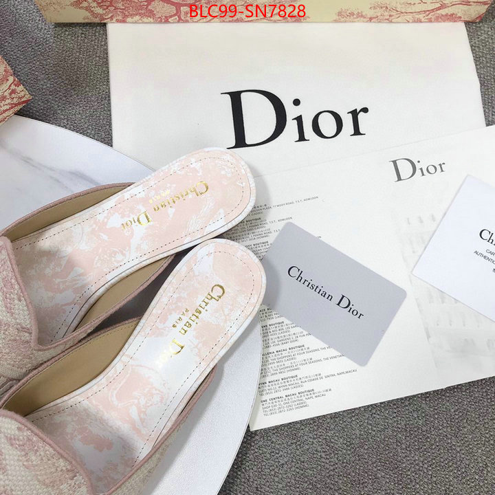 Women Shoes-Dior,1:1 replica wholesale , ID: SN7828,$: 99USD