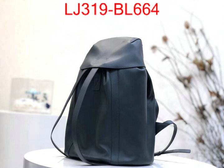 Loewe Bags(TOP)-Backpack-,top quality replica ,ID: BL664,$:319USD