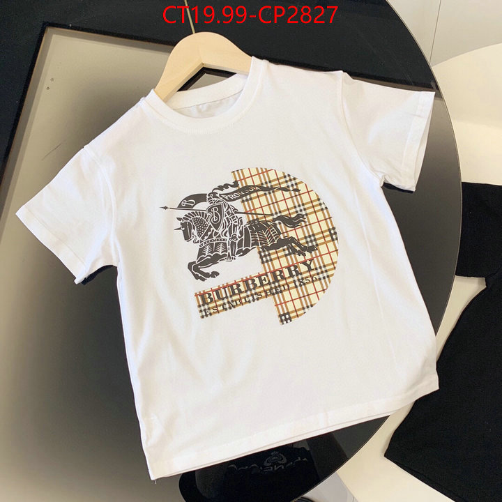 Kids clothing-Burberry,sell online , ID: CP2827,