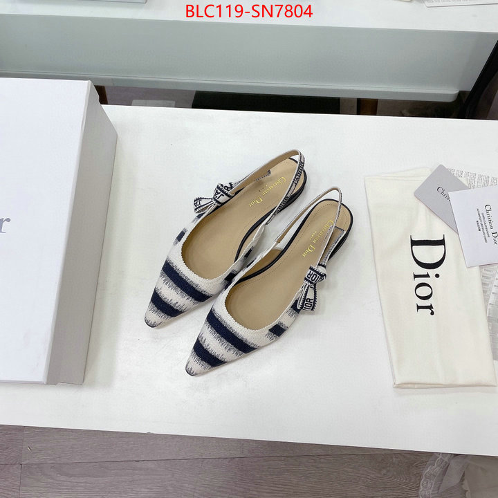 Women Shoes-Dior,wholesale designer shop , ID: SN7804,$: 119USD