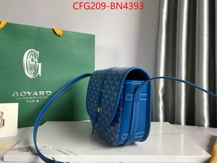 Goyard Bags(TOP)-Diagonal-,ID: BN4393,$: 209USD