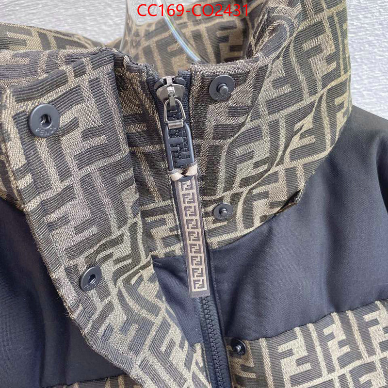 Down jacket Women-Fendi,where can i buy the best quality , ID: CO2431,$: 169USD