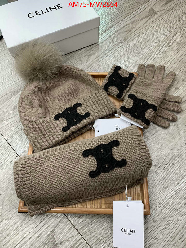 Gloves-CELINE,from china , ID: MW2864,$: 75USD