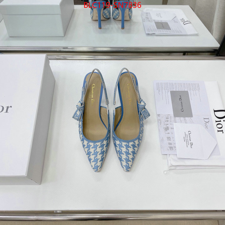 Women Shoes-Dior,what's the best to buy replica , ID: SN7836,$: 119USD