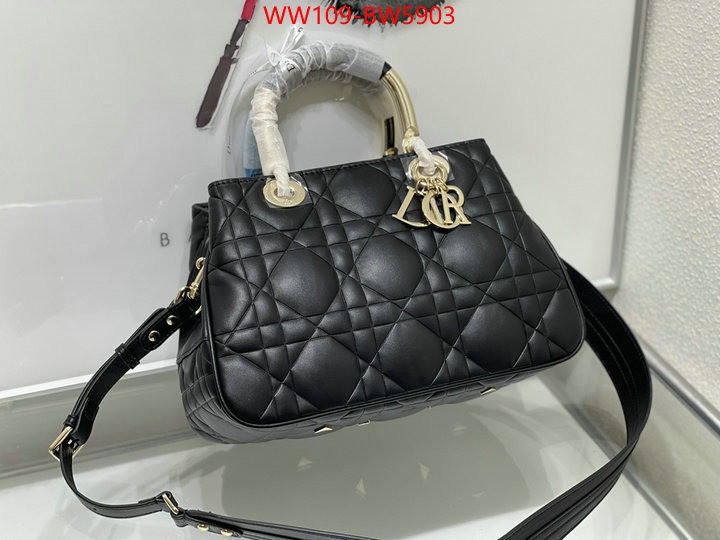 Dior Bags(4A)-Other Style-,ID: BW5903,$: 109USD