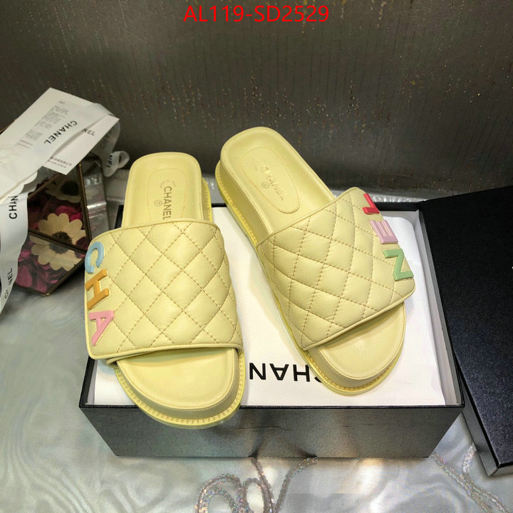 Women Shoes-Chanel,replicas , ID: SD2529,$: 119USD