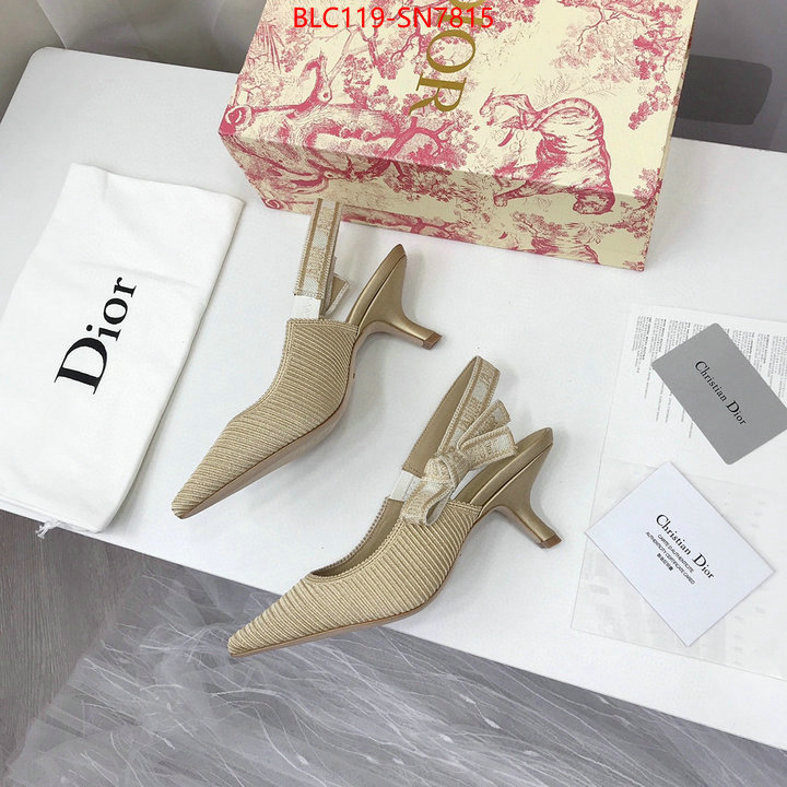 Women Shoes-Dior,shop cheap high quality 1:1 replica , ID: SN7815,$: 119USD