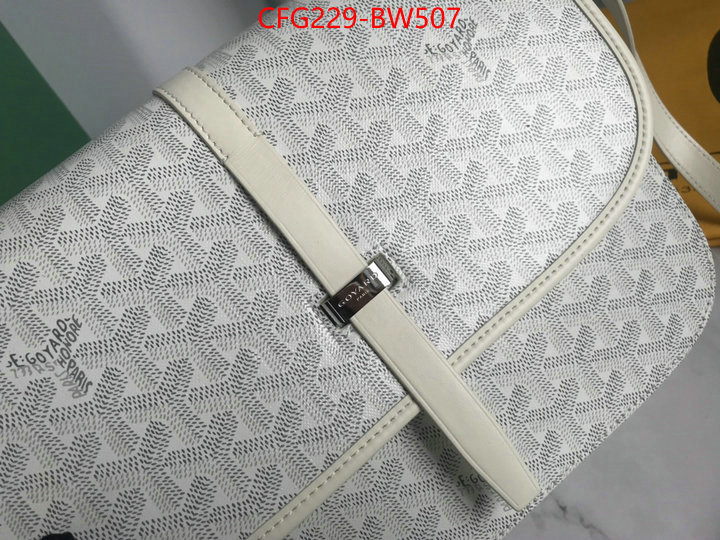 Goyard Bags(TOP)-Diagonal-,ID: BW507,$: 229USD