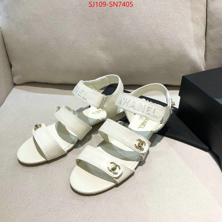 Women Shoes-Chanel,fake cheap best online , ID: SN7405,$: 109USD