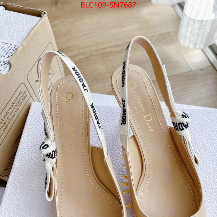 Women Shoes-Dior,cheap wholesale , ID: SN7687,$: 109USD