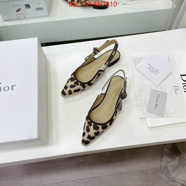 Women Shoes-Dior,7 star , ID: SN7810,$: 119USD