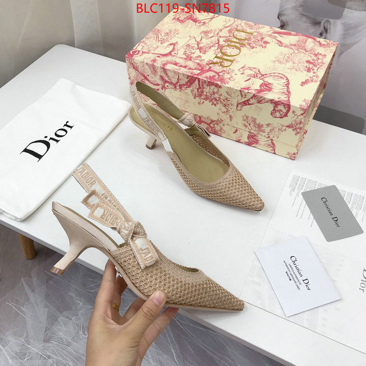 Women Shoes-Dior,shop cheap high quality 1:1 replica , ID: SN7815,$: 119USD