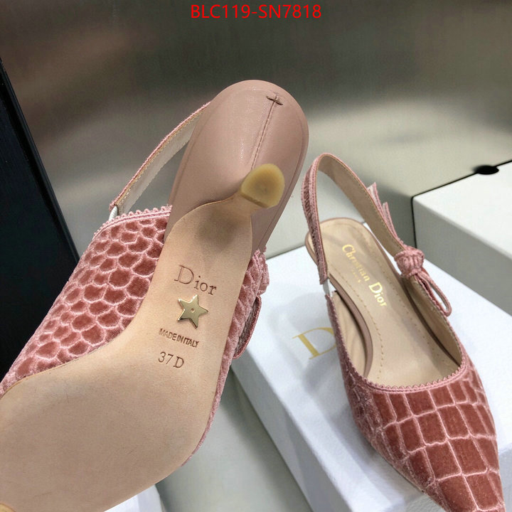 Women Shoes-Dior,aaaaa+ quality replica , ID: SN7818,$: 119USD