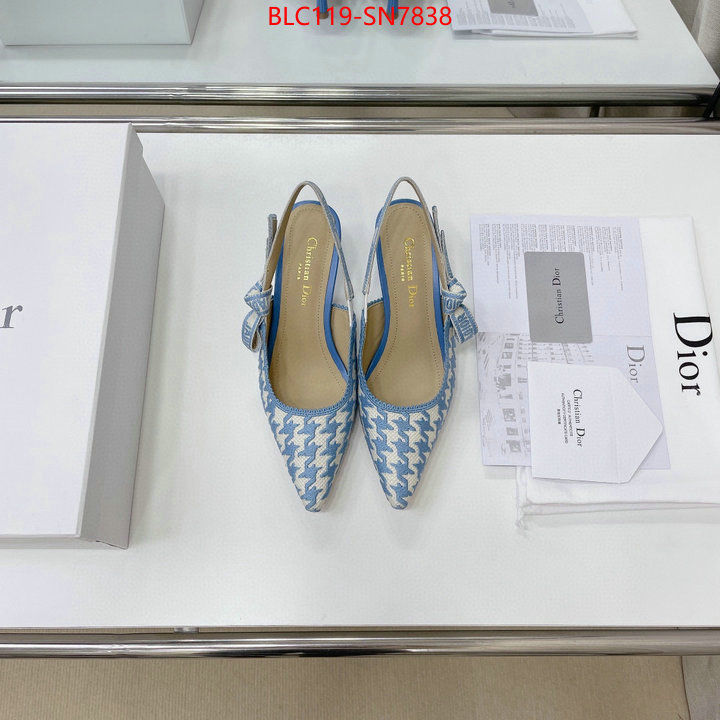 Women Shoes-Dior,can i buy replica , ID: SN7838,$: 119USD