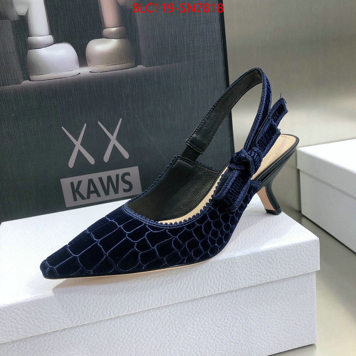 Women Shoes-Dior,aaaaa+ quality replica , ID: SN7818,$: 119USD