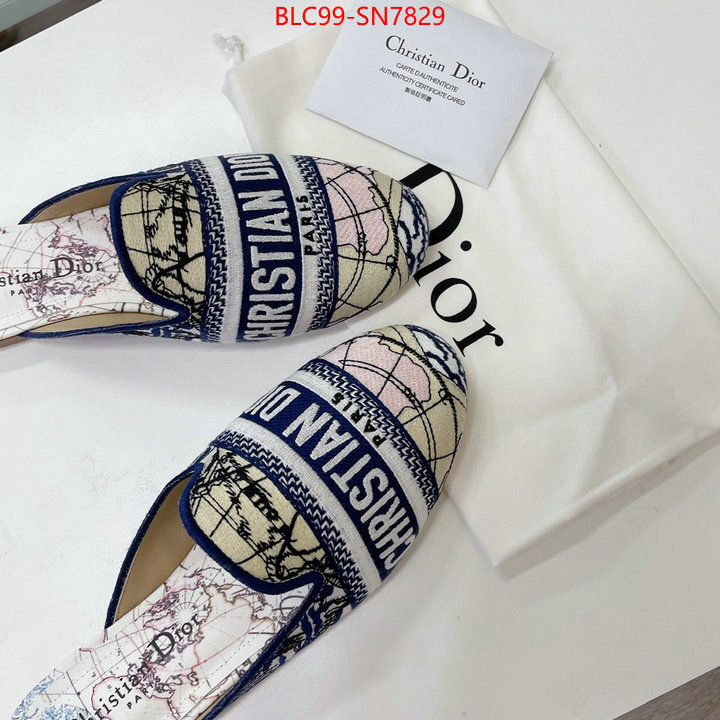 Women Shoes-Dior,website to buy replica , ID: SN7829,$: 99USD