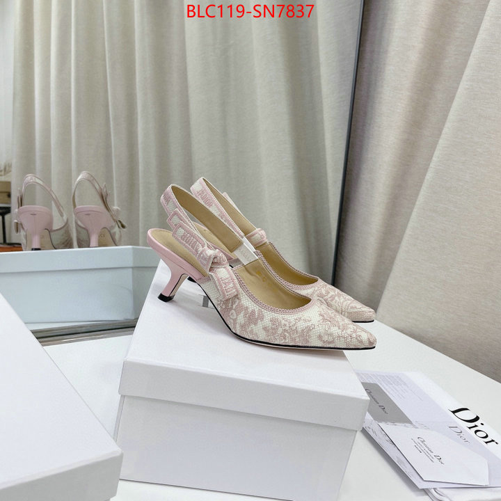 Women Shoes-Dior,replicas , ID: SN7837,$: 119USD