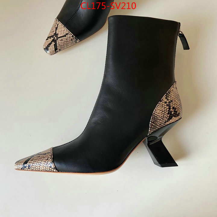 Women Shoes-REJINA PYO,best replica quality , ID:SV210,$:175USD