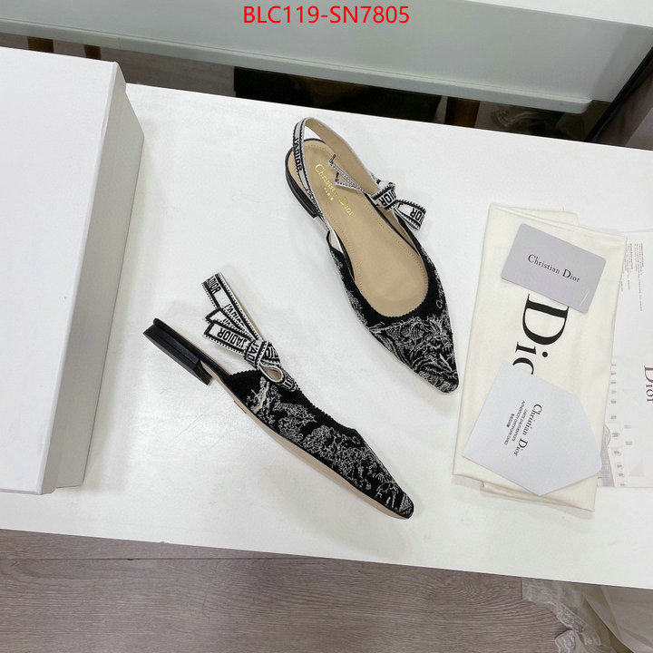 Women Shoes-Dior,the top ultimate knockoff , ID: SN7805,$: 119USD