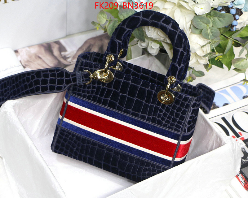 Dior Bags(TOP)-Lady-,ID: BN3619,$: 209USD