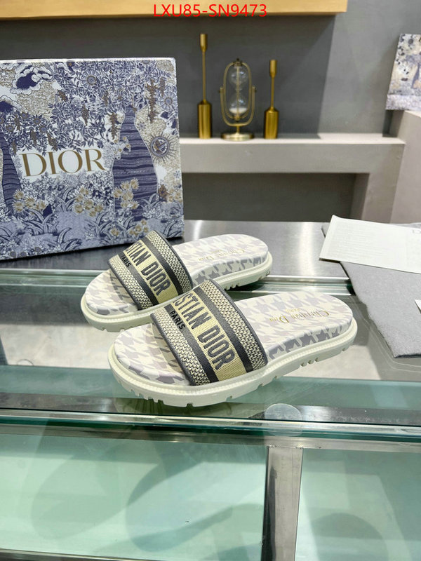 Women Shoes-Dior,sellers online , ID: SN9473,$: 85USD