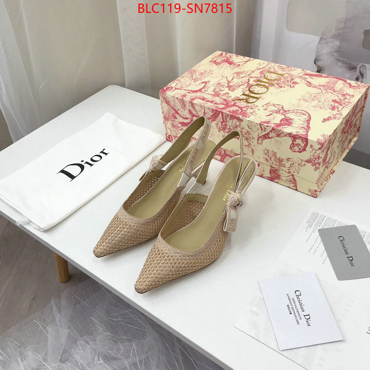 Women Shoes-Dior,shop cheap high quality 1:1 replica , ID: SN7815,$: 119USD