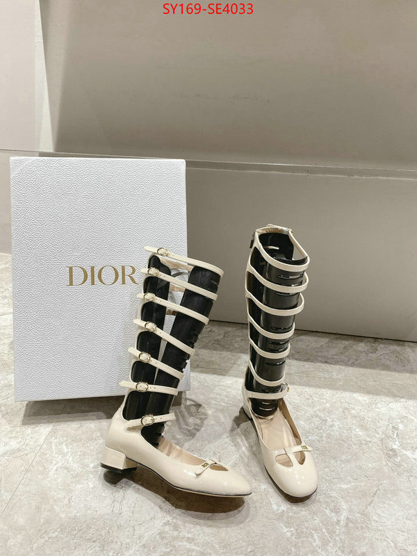 Women Shoes-Dior,top quality replica , ID: SE4033,$: 169USD