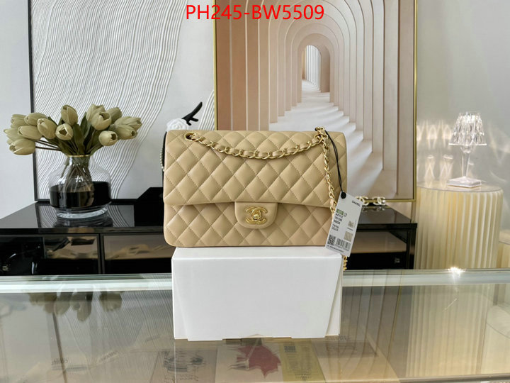 Chanel Bags(TOP)-Diagonal-,ID: BW5509,$: 245USD