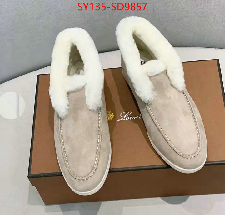 Men Shoes-Loro Piana,wholesale china , ID: SD9857,$: 135USD