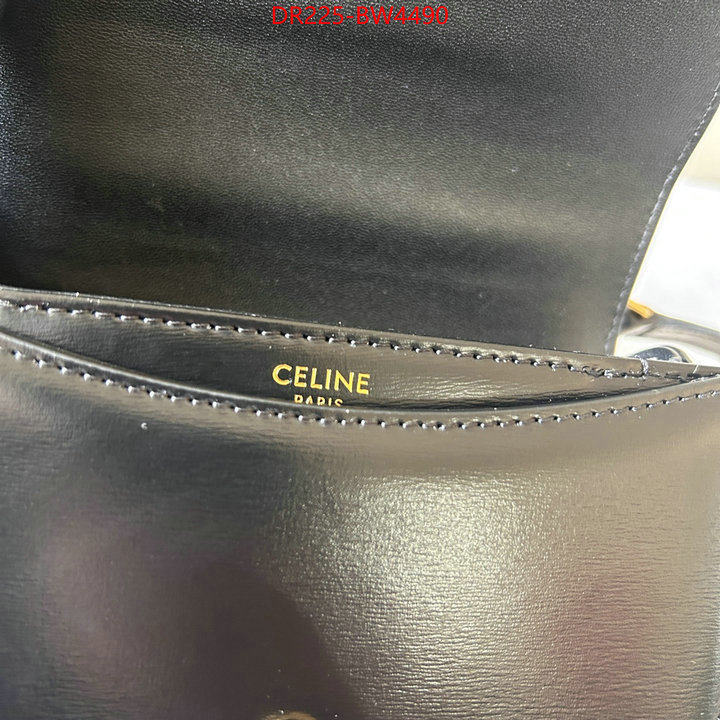 CELINE Bags(TOP)-Triomphe Series,replica designer ,ID: BW4490,$: 225USD