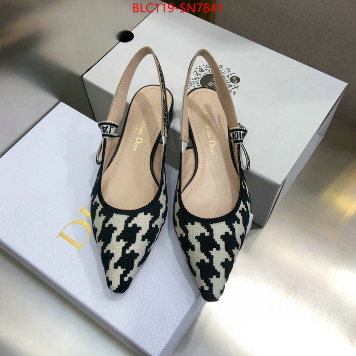 Women Shoes-Dior,outlet 1:1 replica , ID: SN7841,$: 119USD