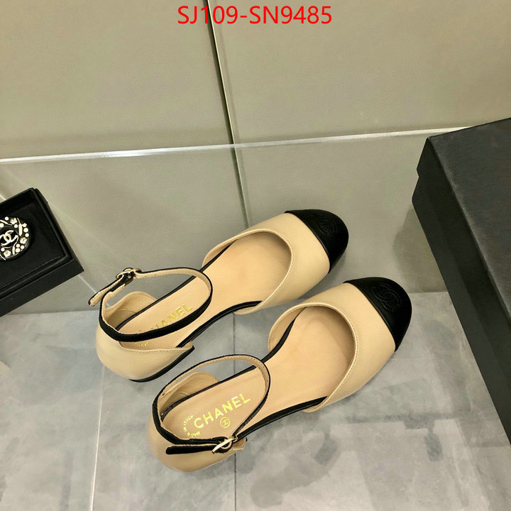 Women Shoes-Chanel,perfect replica , ID: SN9485,$: 109USD