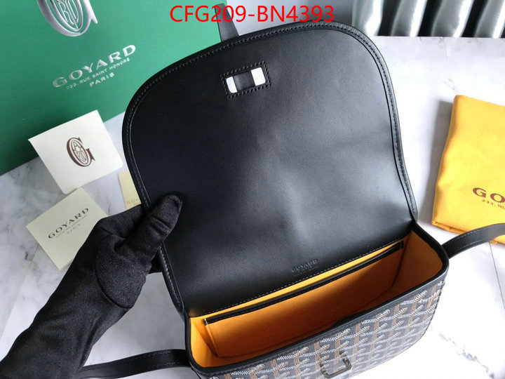 Goyard Bags(TOP)-Diagonal-,ID: BN4393,$: 209USD