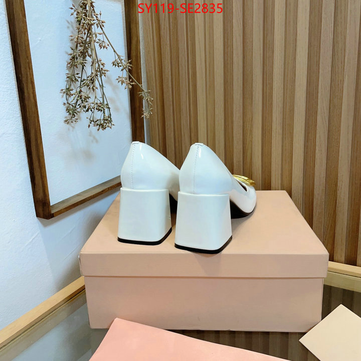 Women Shoes-Miu Miu,aaaaa replica designer , ID: SE2835,$: 119USD