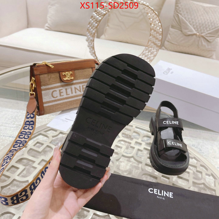 Women Shoes-CELINE,top quality designer replica , ID: SD2509,$: 115USD