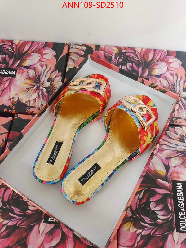 Women Shoes-DG,what 1:1 replica , ID: SD2510,$: 109USD