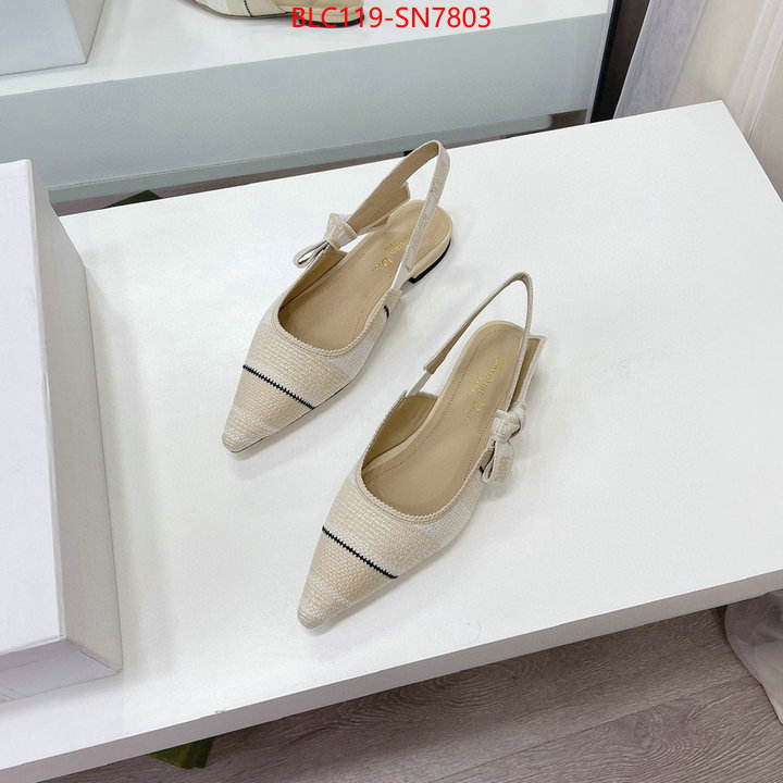 Women Shoes-Dior,replica designer , ID: SN7803,$: 119USD