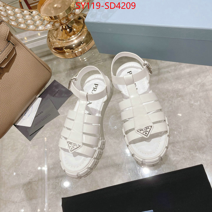 Women Shoes-Prada,fashion designer , ID: SD4209,$: 119USD