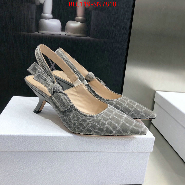 Women Shoes-Dior,aaaaa+ quality replica , ID: SN7818,$: 119USD