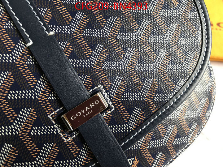 Goyard Bags(TOP)-Diagonal-,ID: BN4393,$: 209USD