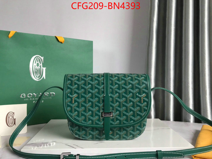 Goyard Bags(TOP)-Diagonal-,ID: BN4393,$: 209USD