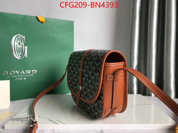 Goyard Bags(TOP)-Diagonal-,ID: BN4393,$: 209USD